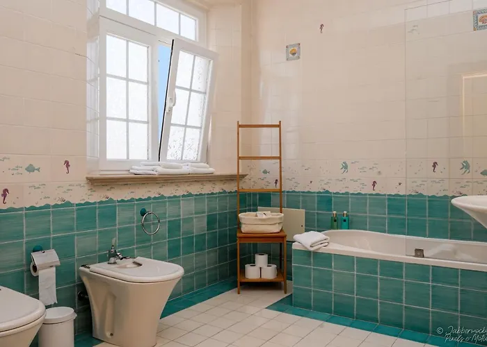 佩德拉诺布雷之家酒店 5* Nadadouro