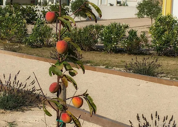 佩德拉诺布雷之家酒店