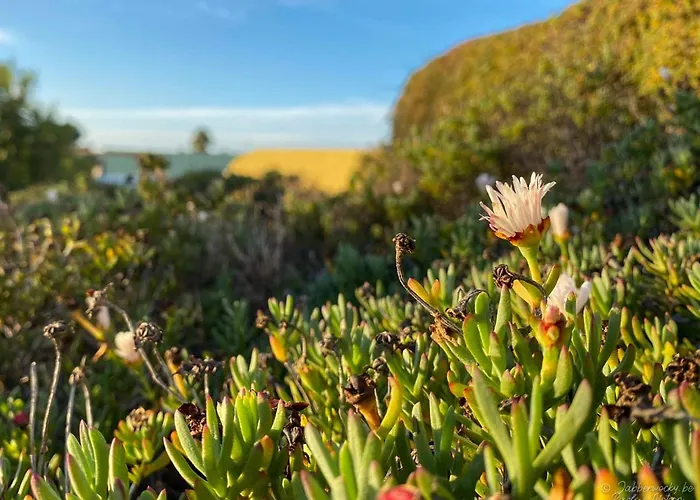佩德拉诺布雷之家酒店 住宿加早餐酒店